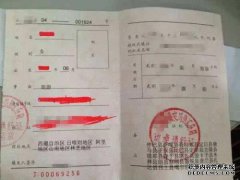 市交通局：道路交通证书