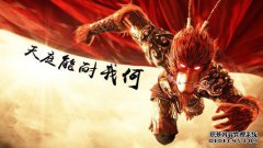 猴猴哥独自一人，这个c