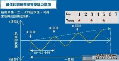运动时“过度恢复”是什