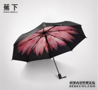 雨下，我可以在香蕉下用
