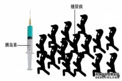 一种人胰岛素